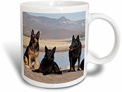

3dRose mug_143030_2 Four German Shepherd Dogs US05 ZMU0361 Zandria Muench Beraldo Ceramic, 15 oz, White Ceramic Mug(60 ml), Multicolor