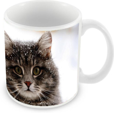 

Sleep Nature's SN-MG-1818 Ceramic Mug(350 ml), Multicolor