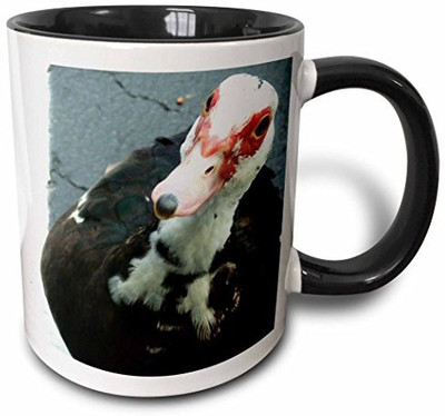 

3dRose Mikey The Muscovy Two Tone Black, 11 oz, Black/White Ceramic Mug(60 ml), Multicolor