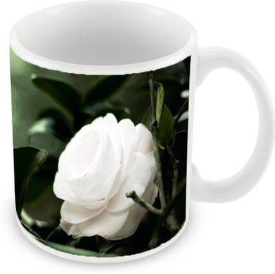

Sleep Nature's SN-MG-1510 Ceramic Mug(350 ml), Multicolor