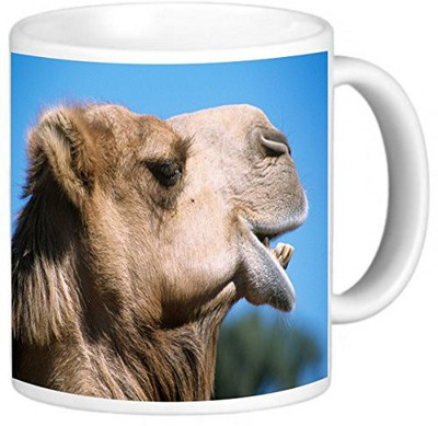 

Rikki Knight LLC Knight Photo Quality Ceramic Coffee, 11 oz, Camel Face Close Up Ceramic Mug(60 ml), Multicolor