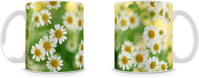 

Mott2 Hswm002 (30)s Ceramic Mug(350 ml)