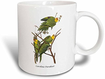 

3dRose mug_114066_1 Carolina Parakeet by John James Audubon Ceramic, 11-Ounce Ceramic Mug(60 ml), Multicolor