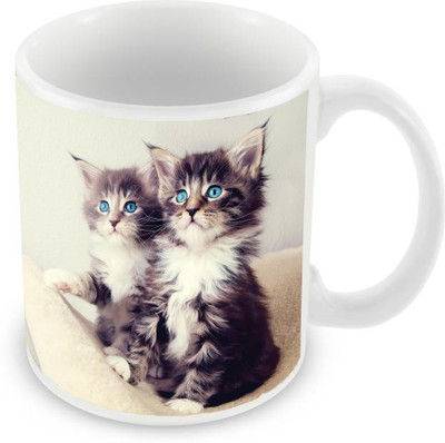 

Sleep Nature's SN-MG-1911 Ceramic Mug(350 ml), Multicolor