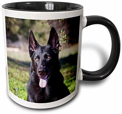 

3dRose mug_140413_4 Portrait of a German Shepherd Dog NA02 ZMU0133 Zandria Muench Beraldo Two Tone Black, 11 oz, Black/White Ceramic Mug(60 ml), Multicolor