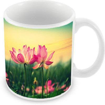 

Sleep Nature's SN-MG-1580 Ceramic Mug(350 ml), Multicolor