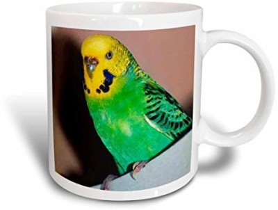 

3dRose Budgie Parakeet, 11-Ounce Ceramic Mug(60 ml), Multicolor