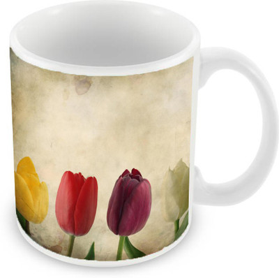 

Sleep Nature's SN-MG-1691 Ceramic Mug(350 ml), Multicolor