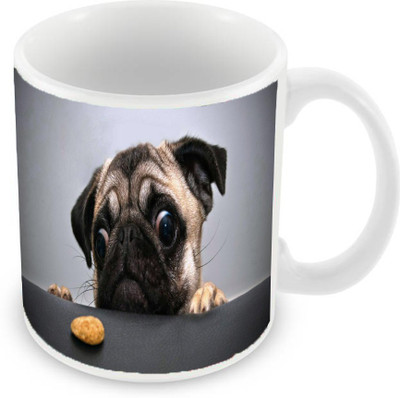 

Sleep Nature's SN-MG-513 Ceramic Mug(350 ml), Multicolor