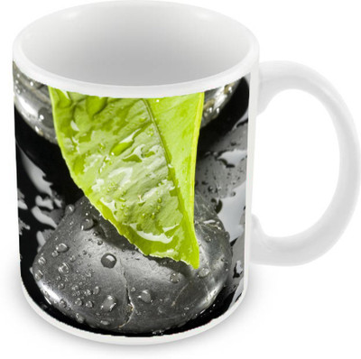 

Sleep Nature's SN-MG-1552 Ceramic Mug(350 ml), Green