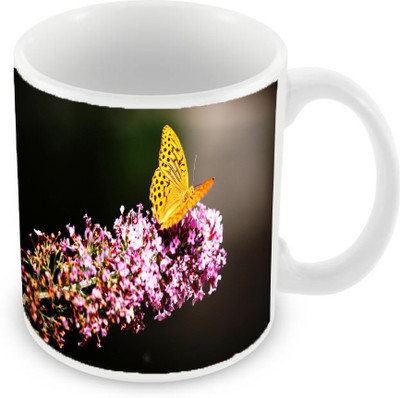 

Sleep Nature's SN-MG-925 Ceramic Mug(350 ml), Multicolor