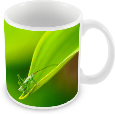 

Sleep Nature's SN-MG-618 Ceramic Mug(350 ml), Green
