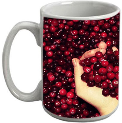Instyler MG26 Ceramic Mug(350 ml), Multicolor