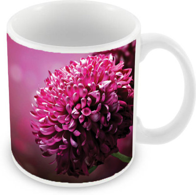 

Sleep Nature's SN-MG-1827 Ceramic Mug(350 ml), Pink