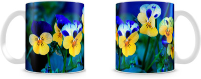 

Mott2 Hswm002 (61) Mott2s Ceramic Mug(350 ml)