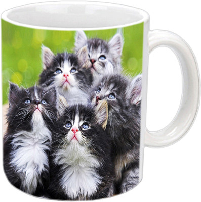 

Raj Laxmi 5 Kitties white Ceramic Mug(350 ml)