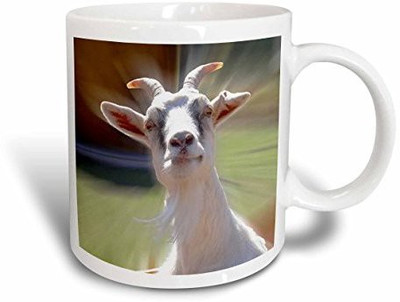 

3dRose Funny Curious Goat Photography Ceramic, 11 oz, White Ceramic Mug(60 ml), Multicolor