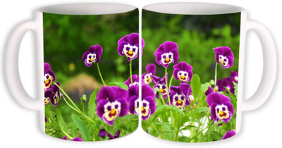 

PhotogiftsIndia nature smily flower Ceramic Mug(350 ml, Pack of 2), Multicolor