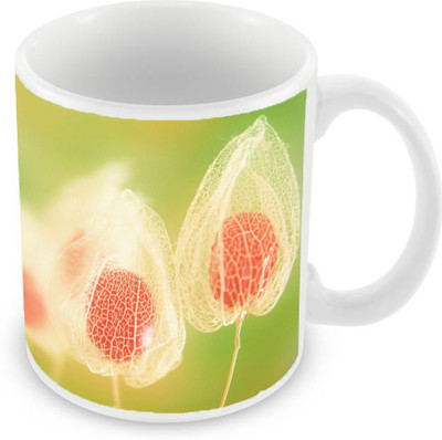 

Sleep Nature's SN-MG-1794 Ceramic Mug(350 ml), Multicolor