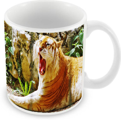 

Sleep Nature's SN-MG-602 Ceramic Mug(350 ml), Multicolor