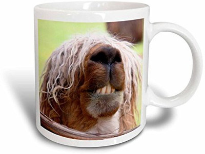 

3dRose Peru. Suri Alpaca Wildlife, Awana Kancha Sa17 Kwi0101 Kymri Wilt Ceramic, 11 oz, White Ceramic Mug(60 ml), Multicolor