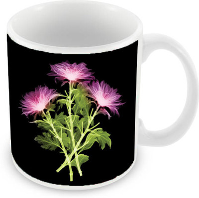 

Sleep Nature's SN-MG-2747 Ceramic Mug(350 ml), Multicolor