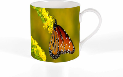

Route To Root RTRMG_108 Ceramic Mug(250 ml), Multicolor