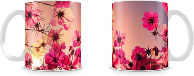 

Mott2 Hswm03 (87)s Ceramic Mug(350 ml)