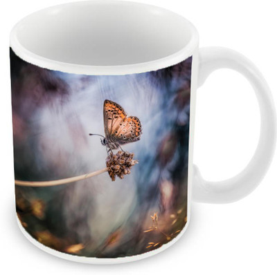 Sleep Nature's SN-MG-1992 Ceramic Mug(350 ml), Multicolor