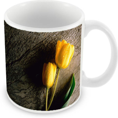 

Sleep Nature's SN-MG-994 Ceramic Mug(350 ml), Multicolor