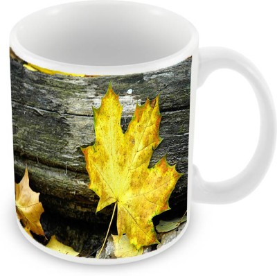 

Sleep Nature's SN-MG-616 Ceramic Mug(350 ml), Yellow