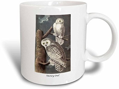 

3dRose Snowy Owl By John James Audubon Ceramic, 11 oz, White Ceramic Mug(60 ml), Multicolor