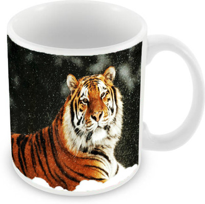 

Sleep Nature's SN-MG-1063 Ceramic Mug(350 ml), Multicolor