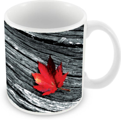 

Sleep Nature's SN-MG-2129 Ceramic Mug(350 ml), Multicolor