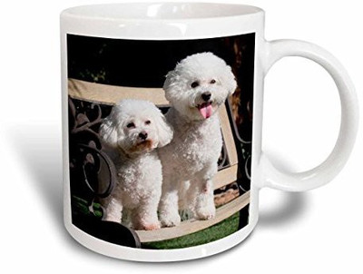 

3dRose mug_88774_2 Two Bishon Frise Dog Us05 Zmu0060 Zandria Muench Beraldo Ceramic, 15-Ounce Ceramic Mug(60 ml), Multicolor