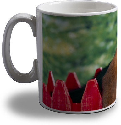 

Artifa Dog Sleeping On Fence Porcelain, Ceramic Mug(350 ml), Multicolor