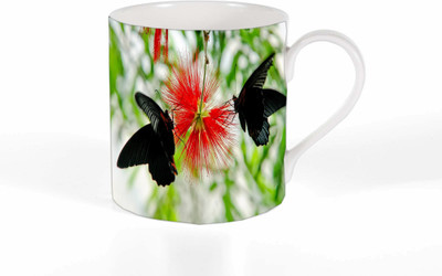 

Route To Root RTRMG_109 Ceramic Mug(250 ml), Multicolor