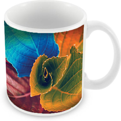 

Sleep Nature's SN-MG-1822 Ceramic Mug(350 ml), Multicolor