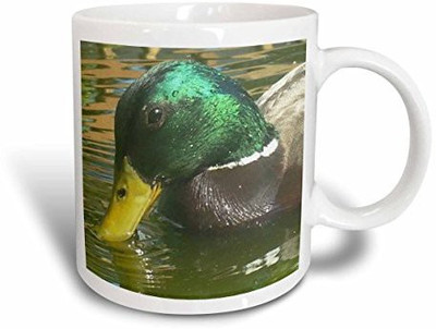 

3dRose mug_22252_1 Mallard Duck Drinking Ceramic, 11 oz, White Ceramic Mug(60 ml), Multicolor