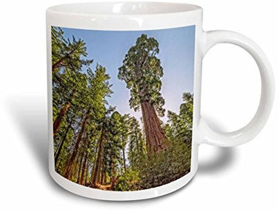 

3dRose mug_186826_2 Mighty Sequoia Ceramic, 15 oz, White Ceramic Mug(60 ml), Multicolor