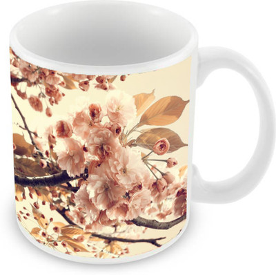 

Sleep Nature's SN-MG-1930 Ceramic Mug(350 ml), Multicolor