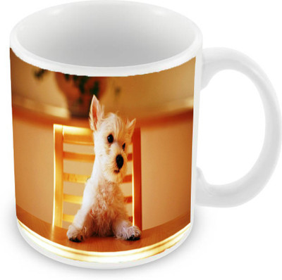 

Sleep Nature's SN-MG-831 Ceramic Mug(350 ml), Multicolor