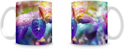

Mott2 Hswm002 (38)s Ceramic Mug(350 ml)