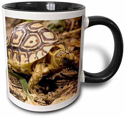 

3dRose mug_94197_4 Leopard Tortoise, Kenya US39 JMC0032 Joe and Mary Ann McDonald Two Tone Black, 11 oz, Black/White Ceramic Mug(60 ml), Multicolor