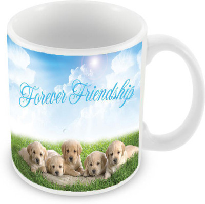 

Sleep Nature's SN-MG-1196 Ceramic Mug(350 ml), Multicolor