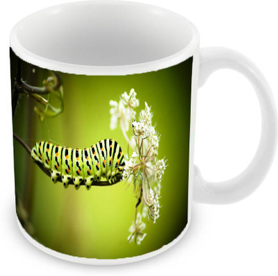 

Sleep Nature's SN-MG-946 Ceramic Mug(350 ml), Multicolor