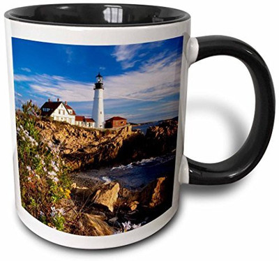 

3dRose mug_144552_4 Asters, Portland Head Lighthouse, Maine, USA US20 BJN0045 Brian Jannsen Two Tone Black, 11 oz, Black/White Ceramic Mug(60 ml), Multicolor