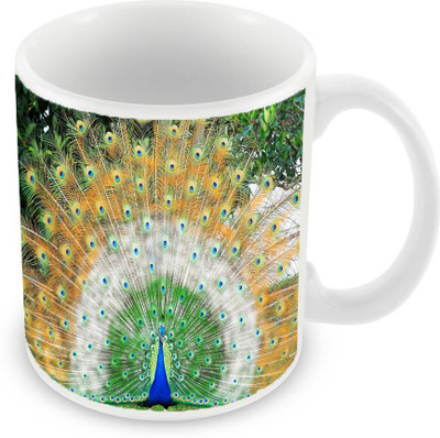 

Sleep Nature's SN-MG-137 Ceramic Mug(350 ml), Multicolor