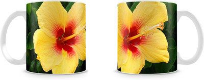 

Mott2 Hswm002 (53) Mott2s Ceramic Mug(350 ml)