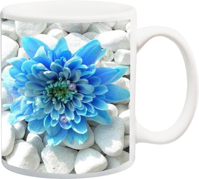 

ME&YOU Gift for Husband/Wife/Girlfriend/Boyfriend/Lover;Rose printed Ceramic Mug(325 ml), Multicolor